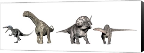 Framed Left to Right: Suchomimus, Argentinosaurus, Zuniceratops, Dicraeosaurus Print
