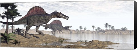 Framed Two Spinosaurus dinosaurs walking to the water in a desert landscape Print