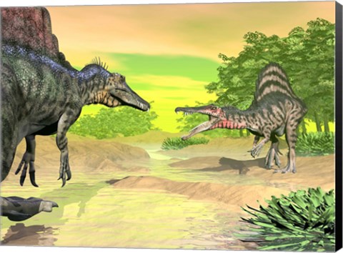 Framed Confrontation between two Spinosaurus dinosaurs Print