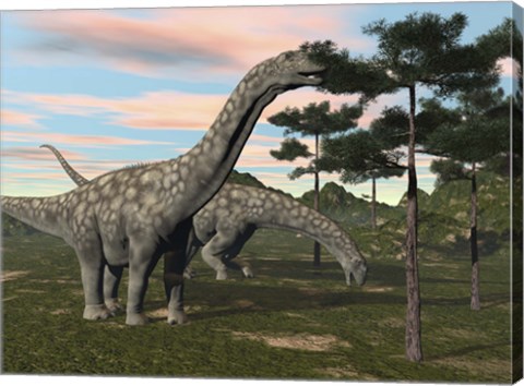 Framed Argentinosaurus dinosaur grazing on treetops Print