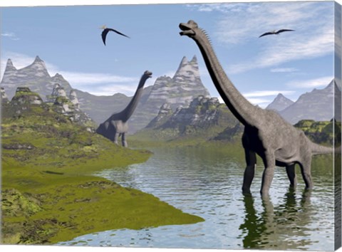 Framed Brachiosaurus dinosaurs walking in a stream on a beautiful day Print