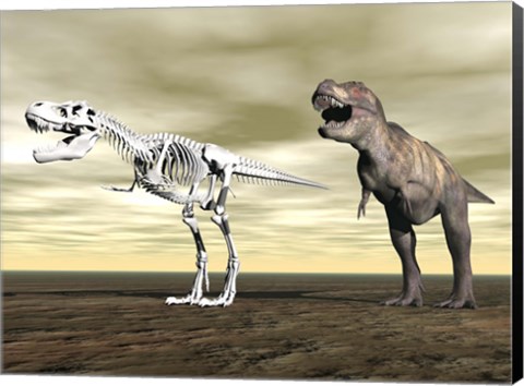 Framed Comparison of Tyrannosaurus Rex standing next to its fossil skeleton Print