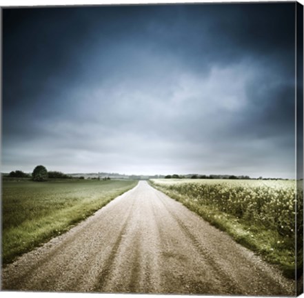 Framed Country road through fields, Denmark Print