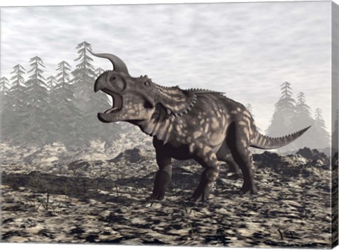 Framed Einiosaurus dinosaur roaring in nature Print