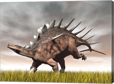 Framed Kentrosaurus dinosaur running on the yellow grass Print