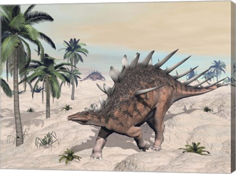 Framed Kentrosaurus dinosaurs walking in the desert among palm trees Print