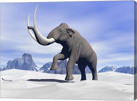 Framed Large mammoth walking slowly on the snowy mountain Print