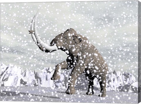 Framed Mammoth walking through a blizzard on mountain Print