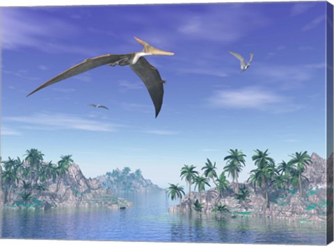 Framed Pteranodon birds flying above islands with palm trees Print