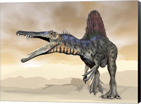 Framed Spinosaurus dinosaur roaring in the desert Print