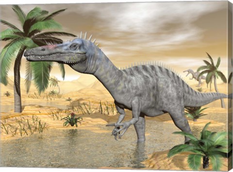 Framed Suchomimus dinosaur walking in the water in desert landscape Print