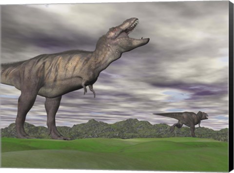 Framed Tyrannosaurus Rex growling as a fellow T-Rex runs away Print