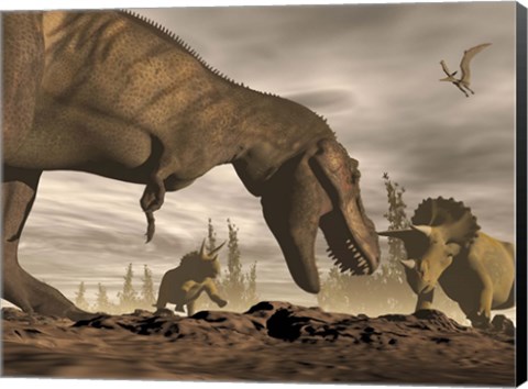 Framed Tyrannosaurus Rex roaring at two Triceratops on rocky terrain Print