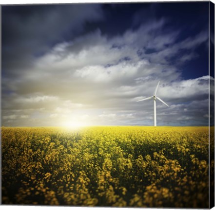 Framed Wind turbine in a canola field against cloudy sky at sunset, Denmark Print