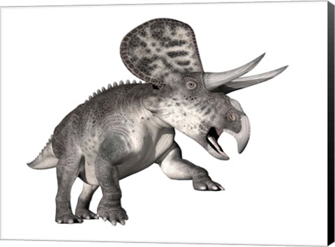 Framed Zuniceratops dinosaur, white background Print