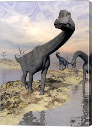 Framed Brachiosaurus dinosaurs near water with reflection by sunset and full moon Print