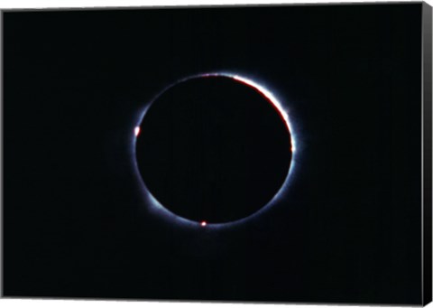 Framed Total Solar Eclipse on November 21, 1960 Print