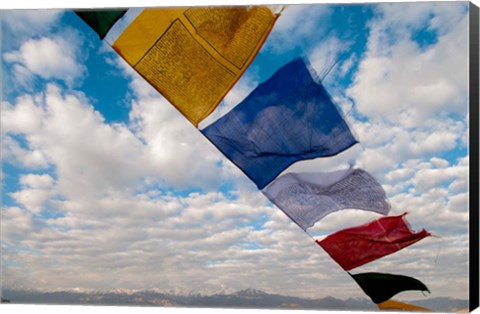 Framed Prayer flags, Leh, Ladakh, India Print