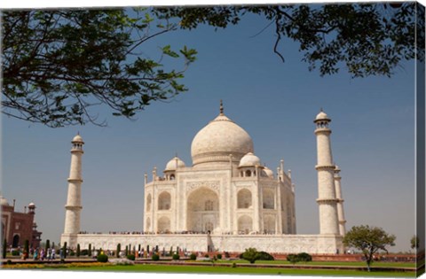 Framed Asia, India, Taj Mahal with trees above as framing element Print