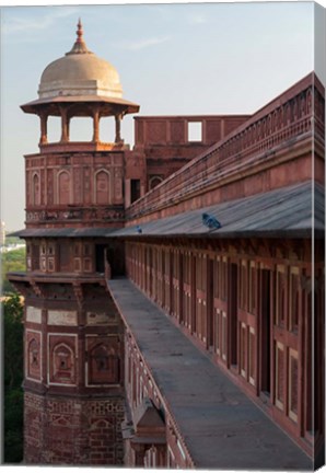 Framed Two pigeons sit on the roof&#39;s ledge, Agra fort, India Print