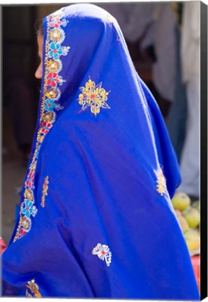Framed Sari Woman, New Delhi, India Print
