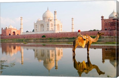 Framed Young Boy on Camel, Taj Mahal Temple Burial Site at Sunset, Agra, India Print