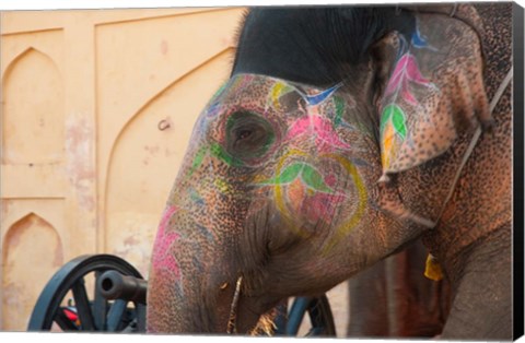 Framed Decorated elephant at the Amber Fort, Jaipur, Rajasthan, India. Print