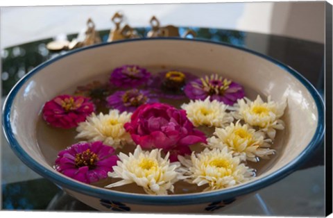 Framed Flowers in a bowl, Rawal Jojawar Hotel, Jojawar, Rajasthan, India. Print