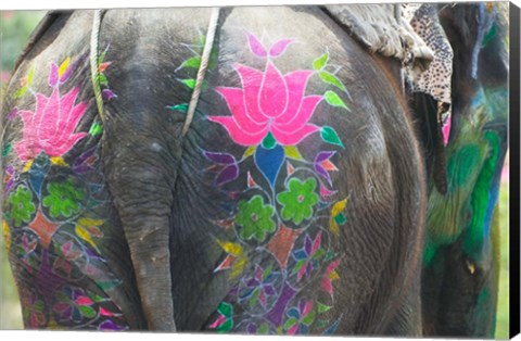 Framed Elephant Decorated with Colorful Painting at Elephant Festival, Jaipur, Rajasthan, India Print