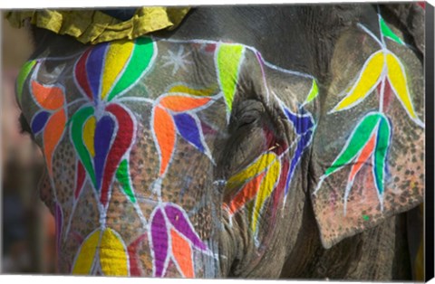Framed Elephant Decorated with Colorful Painting, Jaipur, Rajasthan, India Print