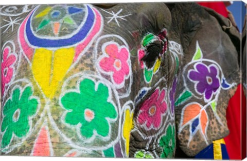 Framed Painted Elephant, Amber Fort, India Print