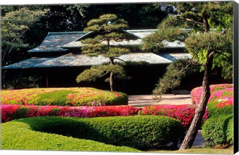 Framed Azaleas at the Imperial Palace East Gardens, Tokyo, Japan Print