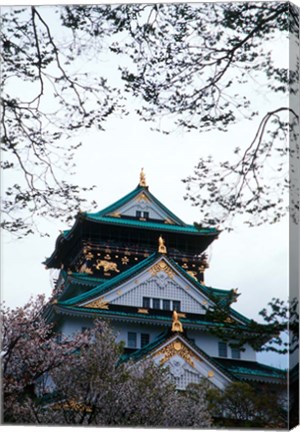 Framed Osaka Castle and Cherry Blossom Trees, Osaka, Japan Print