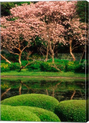 Framed Reflecting Pond, Imperial Palace East Gardens, Tokyo, Japan Print