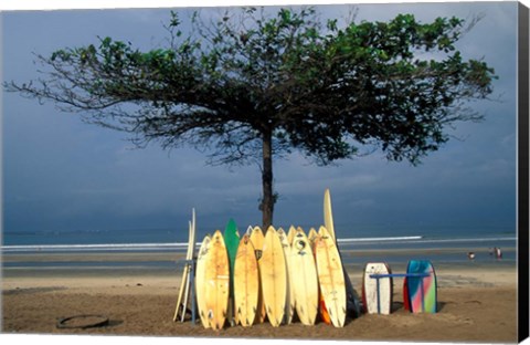 Framed Surfboards Lean Against Lone Tree on Beach in Kuta, Bali, Indonesia Print