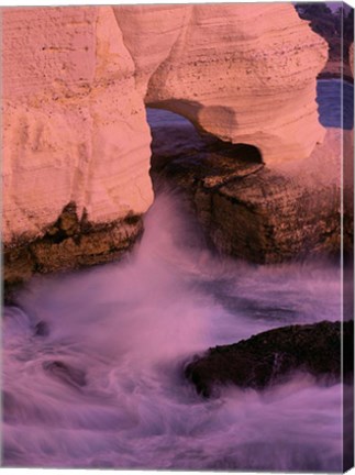 Framed Elephants Foot Limestone Formation, Israel Print