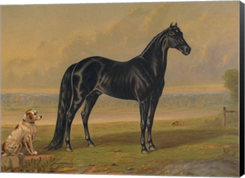 Framed America&#39;s Renowned Stallions, c. 1876 I Print