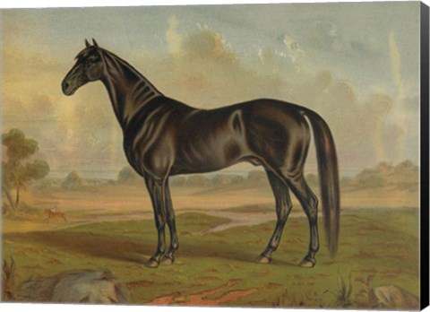 Framed America&#39;s Renowned Stallions, c. 1876 II Print