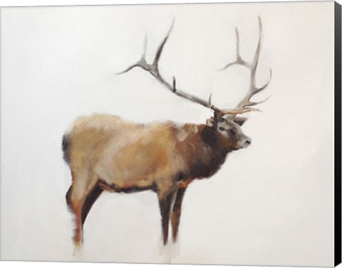 Framed Elk Print