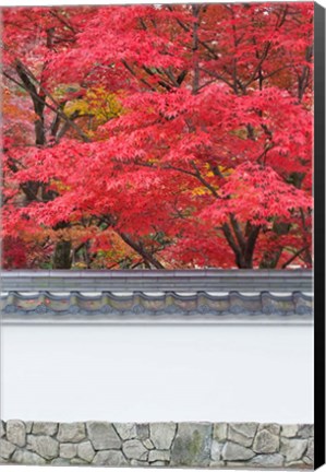 Framed Eikando Temple, Kyoto, Japan Print