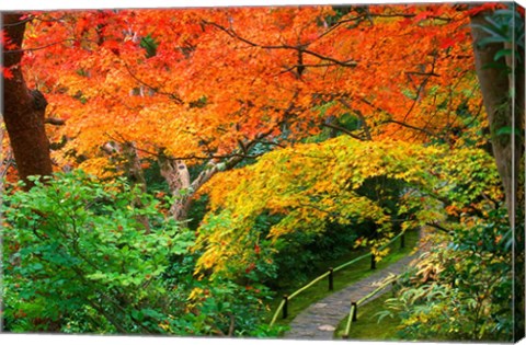 Framed Okochi Sanso, Kyoto, Japan Print