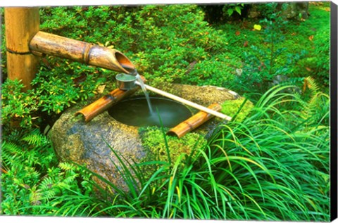 Framed Spring for Tea Ceremony, Sanzen-in Temple, Kyoto, Japan Print