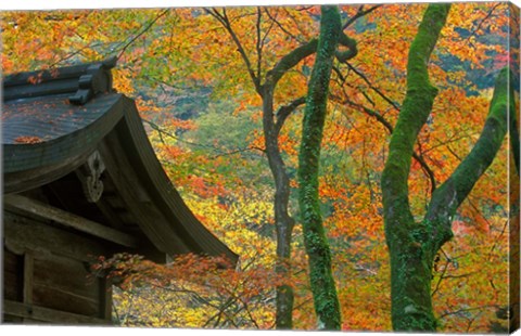 Framed Kibune Shrine, Kyoto, Japan Print