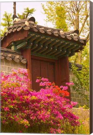 Framed Azaleas, The Deoksugung Palace Complex, Seoul, South Korea Print