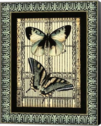 Framed Small Butterfly Fancy I Print