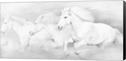 Framed All the White Horses Print