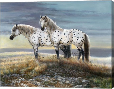 Framed Appaloosa Sundown Print