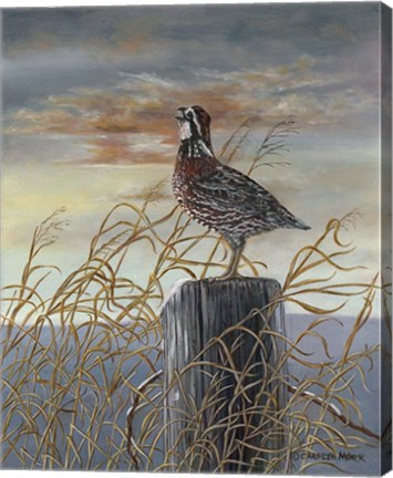 Framed Quail on a Post Print