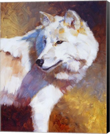 Framed White Wolf Print