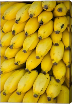 Framed Oman, Dhofar Region, Salalah. Local bananas for Sale Print